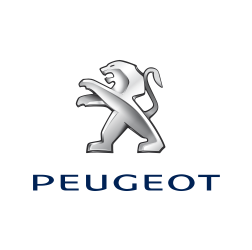 Noleggio a breve e lungo termine auto Peugeot Vibo Valentia